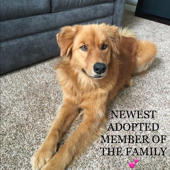 💕RETURN FOLLOW SHARE💕 - Picture 5 of 8