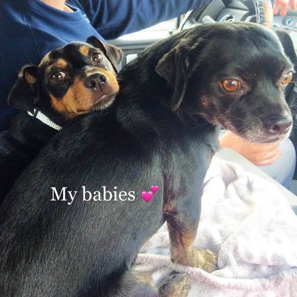 💕RETURN FOLLOW SHARE💕 - Picture 6 of 8