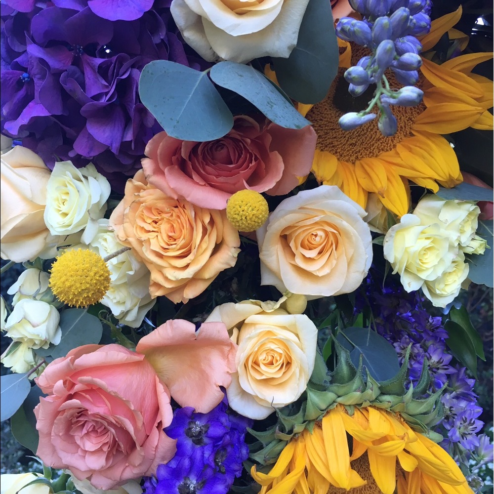 Meet your Posher, Madeleine