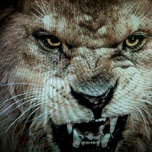 Meet your Posher, Jeff