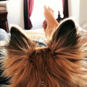 Meet your Posher, Mia