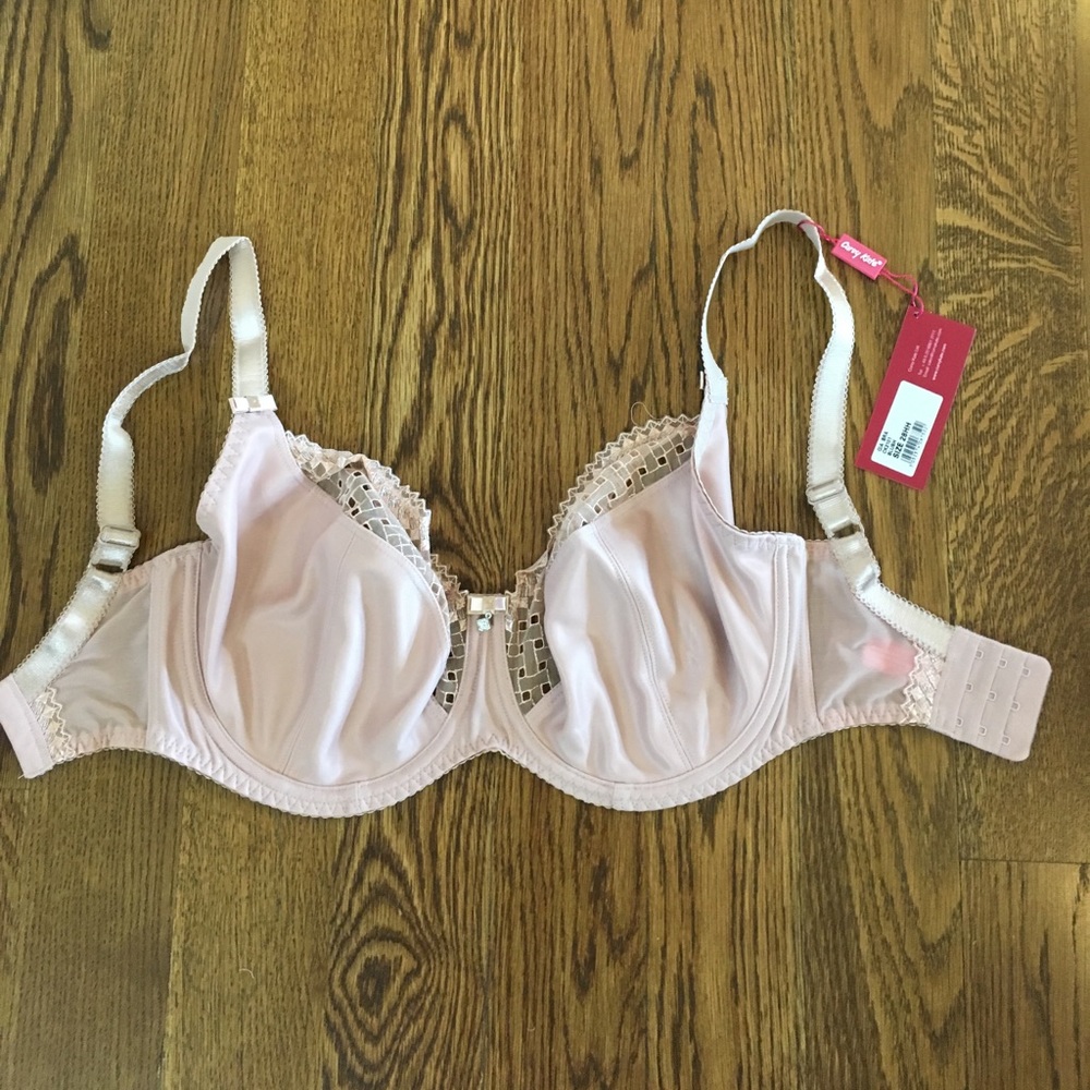 NWT Curvy Kate Bra