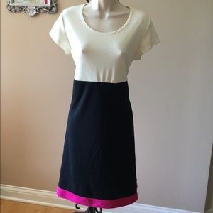 NWT Color block A-line dress with hot pink trim