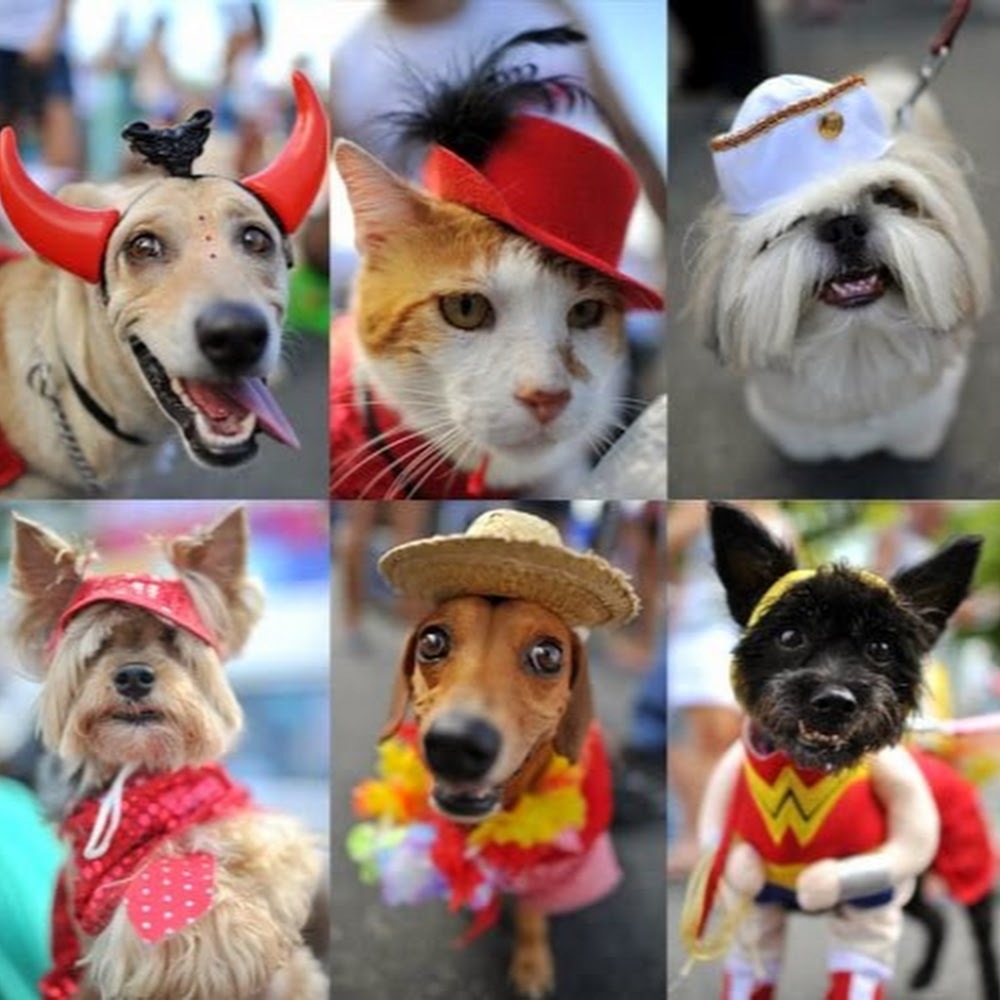 Meet your Posher, Kinjal