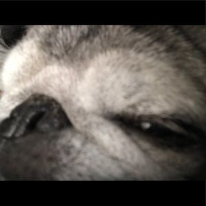 Meet your Posher, Debbie