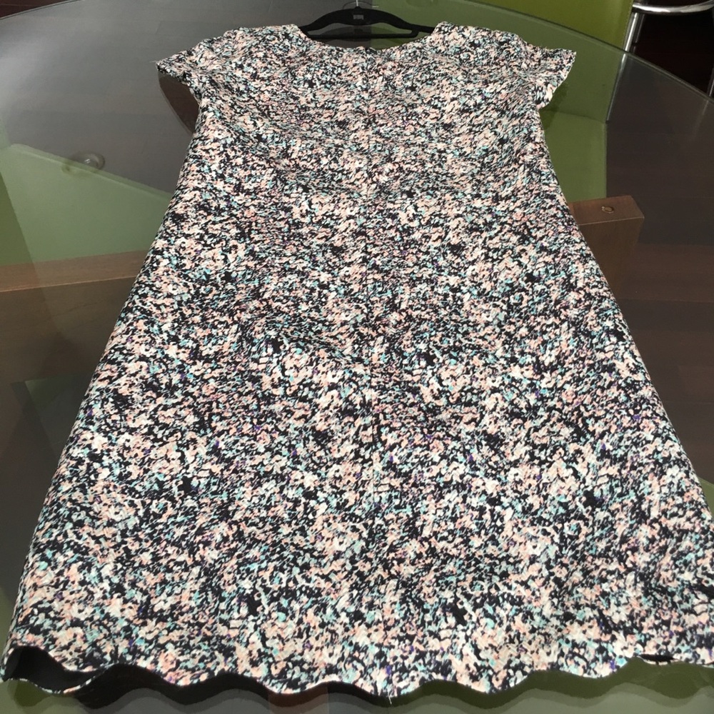 Club Monaco dress