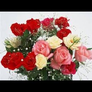 Meet your Posher, Frida