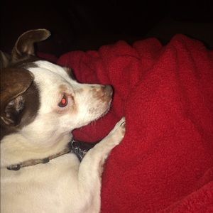 Meet your Posher, Amya