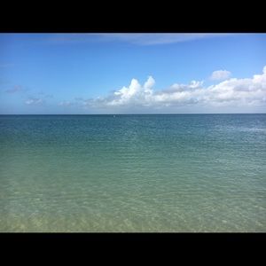 Meet your Posher, Cynthia