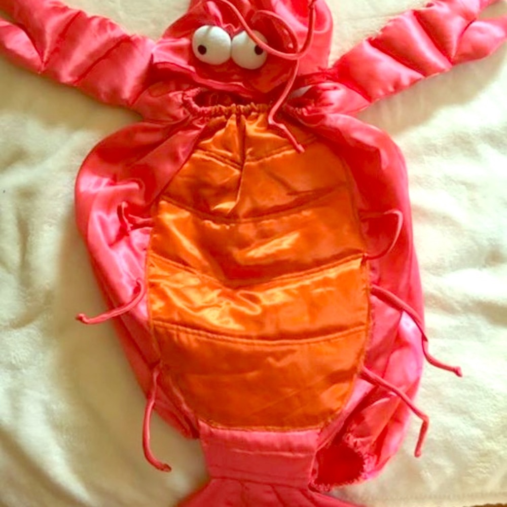 Baby Costume