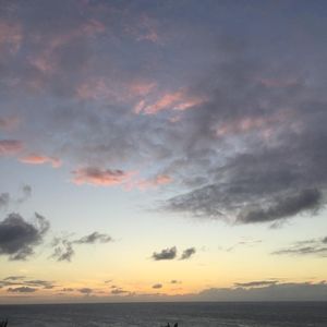 Meet your Posher, Tracey