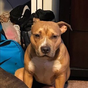 Meet your Posher, James