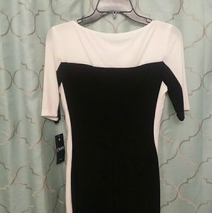 Two-Tone CHAPS Dress