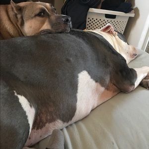 Meet your Posher, Mariah