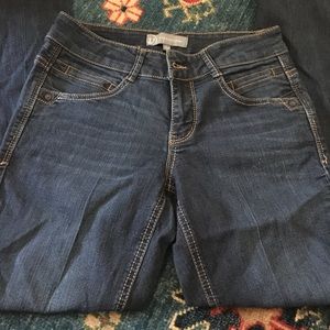 Wit & Wisdom Skinny Bootcut