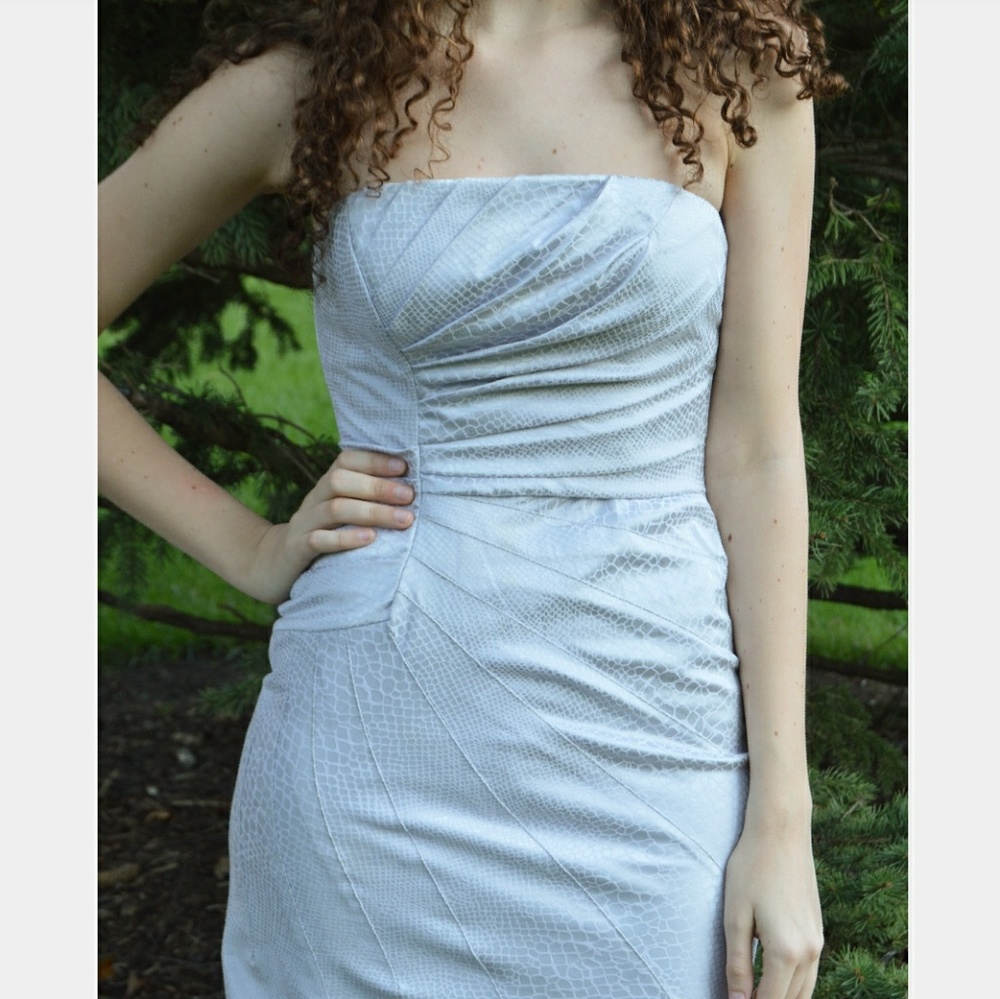 🎉 HP 🎉 Gray / Silver Tone Formal Dress