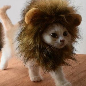 NWOT Cat/Small Dog Lion Mane costume