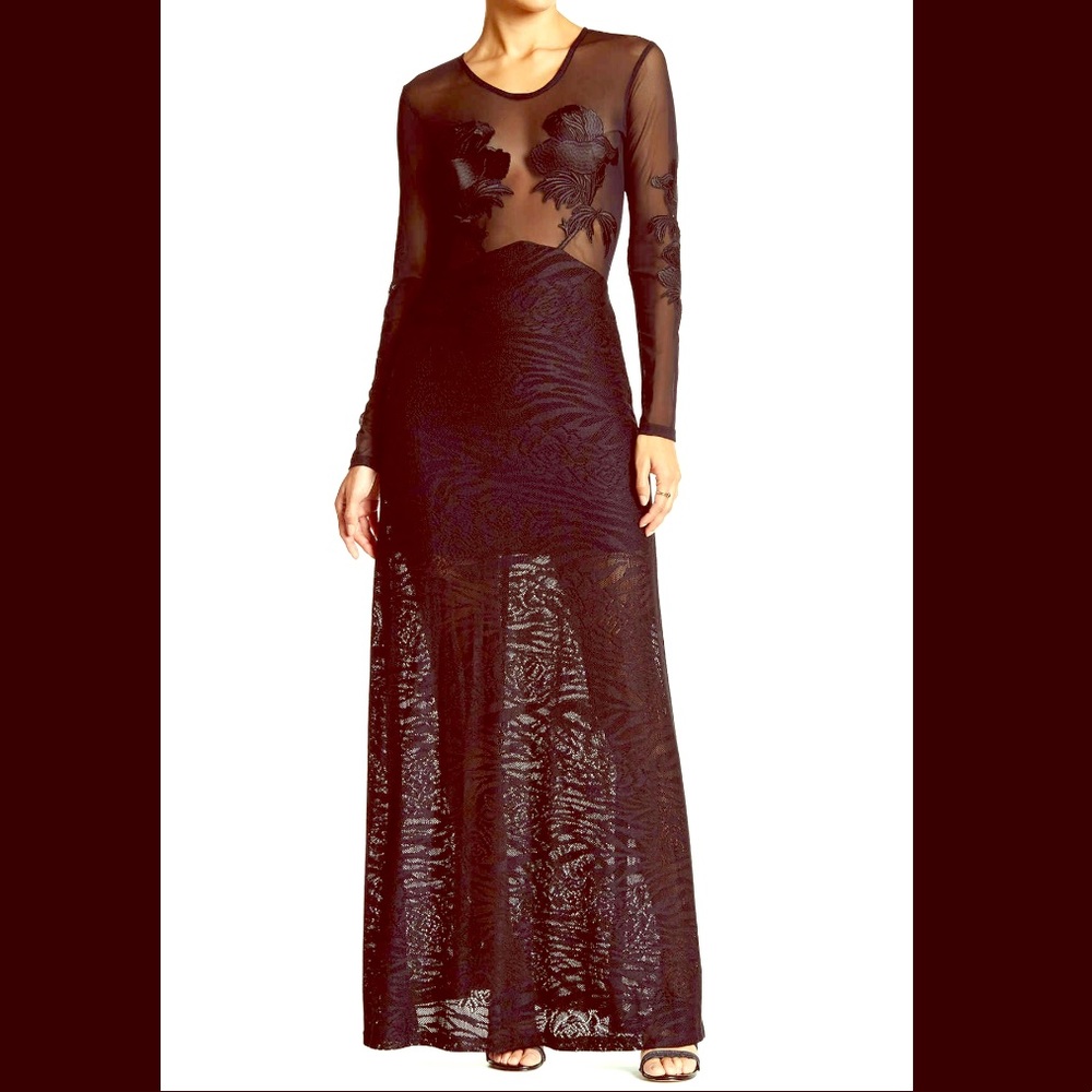 ⭐️✨Sky Rachana Mesh Embroidered Dress