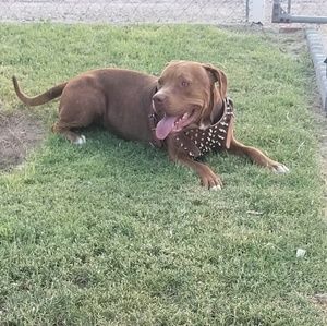 Meet your Posher, Delma