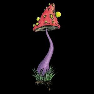 Meet your Posher, Caden