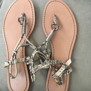 Coach sandals "snakeskin"