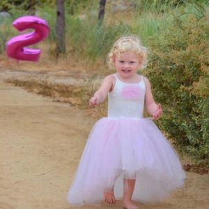 Toddler Hulalbaloo Ice Cream Tutu Dress
