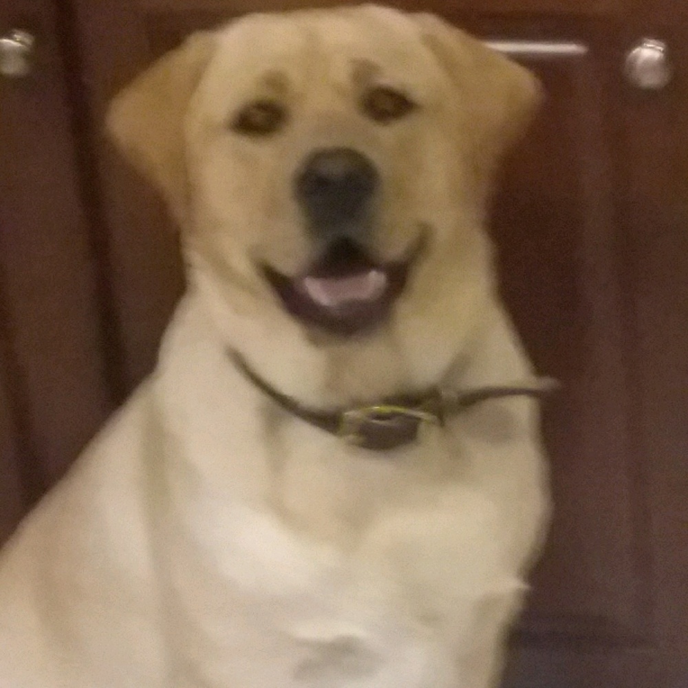 Meet your Posher, Jill