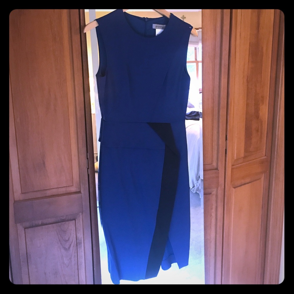 Blue Sportmax Dress