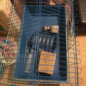 Blue Guinea Pig Cage