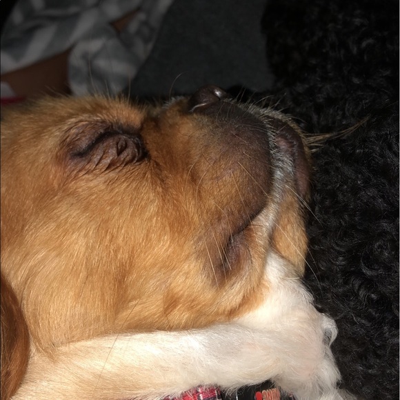 Meet your Posher, Meagan - Picture 1 of 1