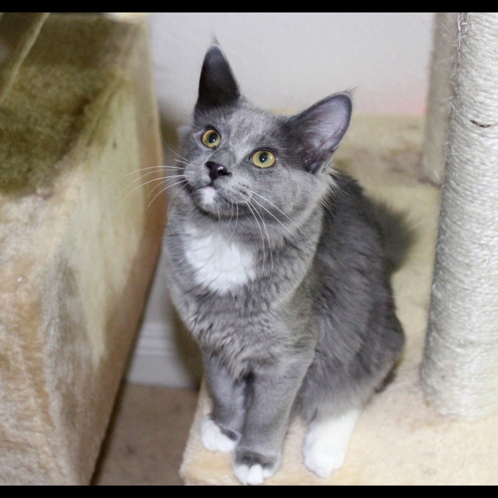 Meet your Posher, Crystal