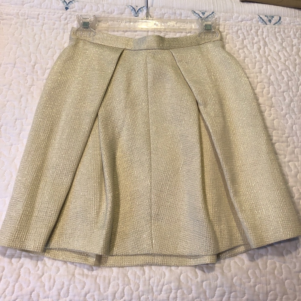 Rachel Zoe Skirt