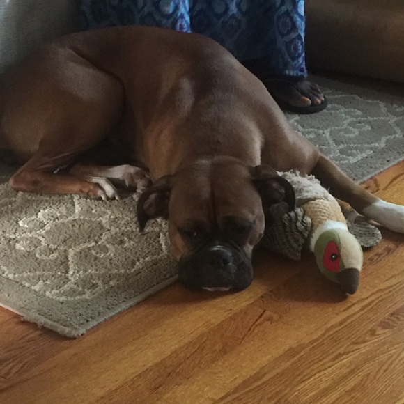 Meet your Posher, Tersha - Picture 1 of 1