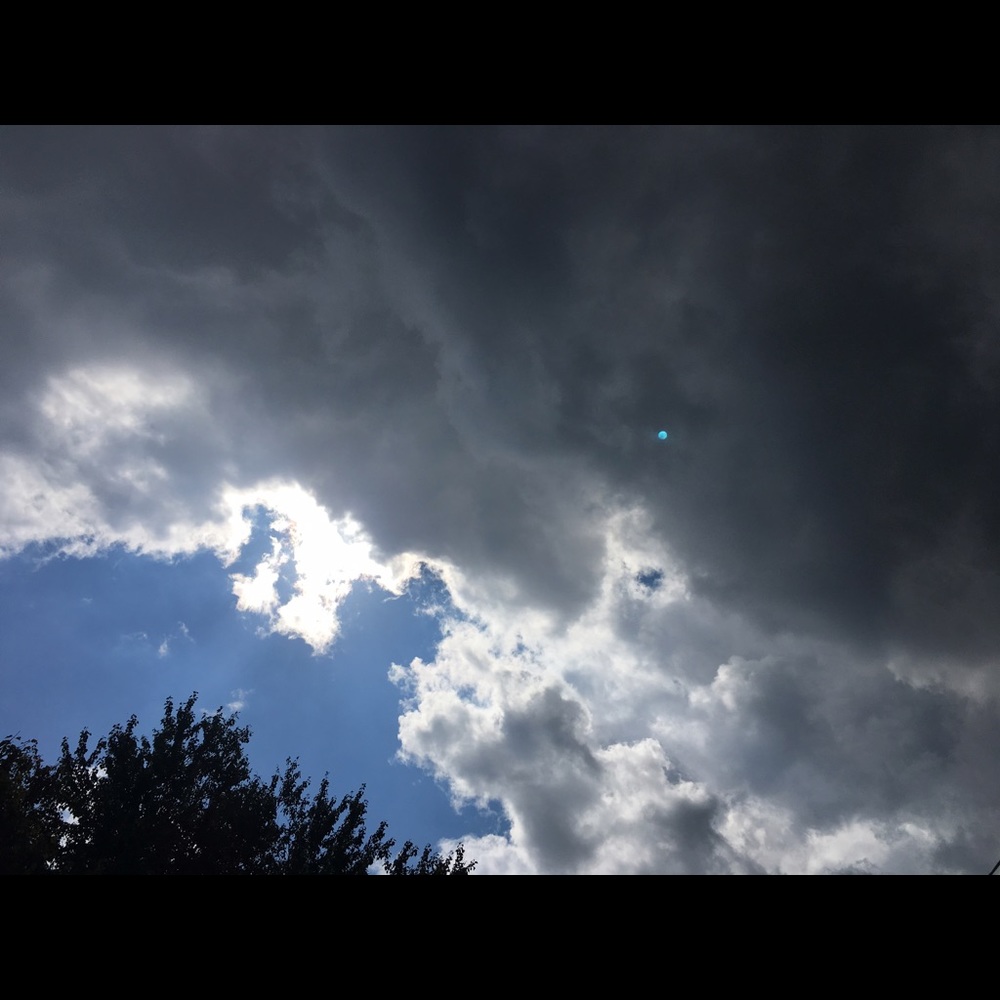 Meet your Posher, Shantell