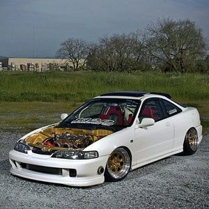 Meet your Posher, Pedro