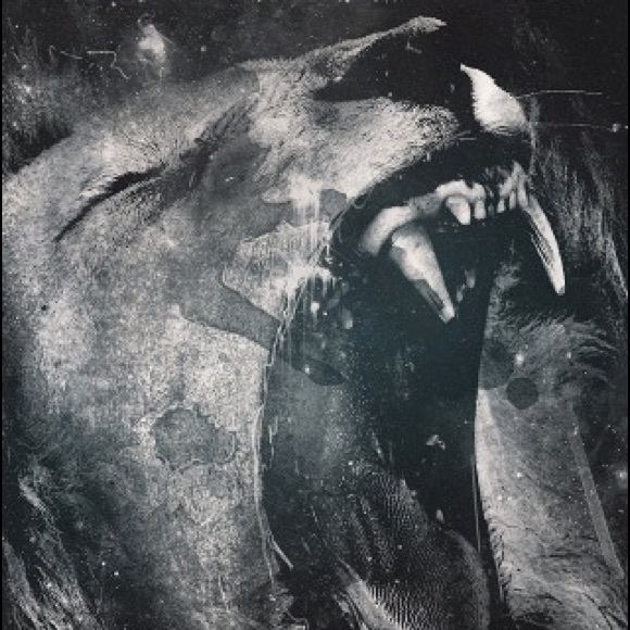 Meet your Posher, Joel - Picture 1 of 1