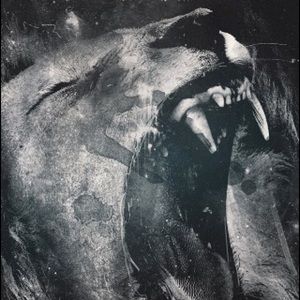 Meet your Posher, Joel