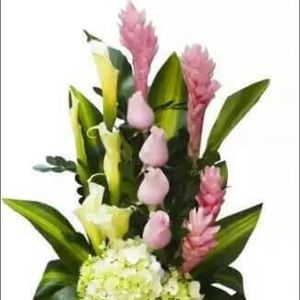 Meet your Posher, Lucy