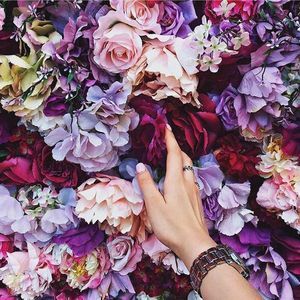 Meet your Posher, Sulamita