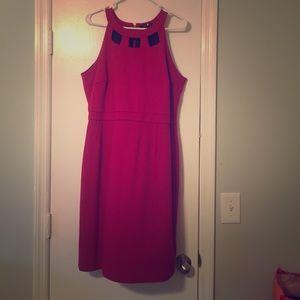 Raspberry Banana Republic Dress, size 12