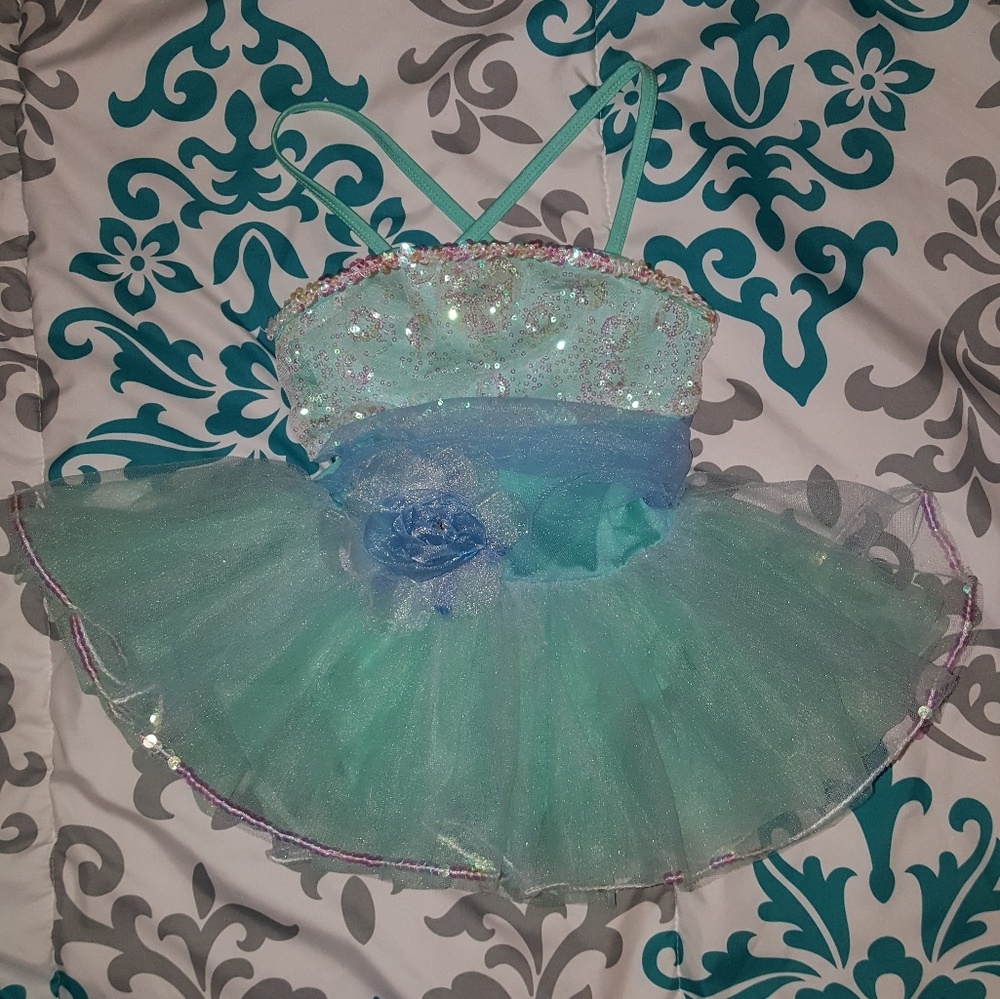 Beautiful dance leotard