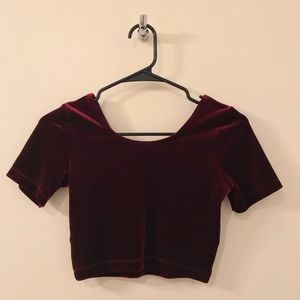 AA Velvet Burgundy Crop Top