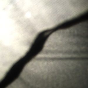 Meet your Posher, Kateya