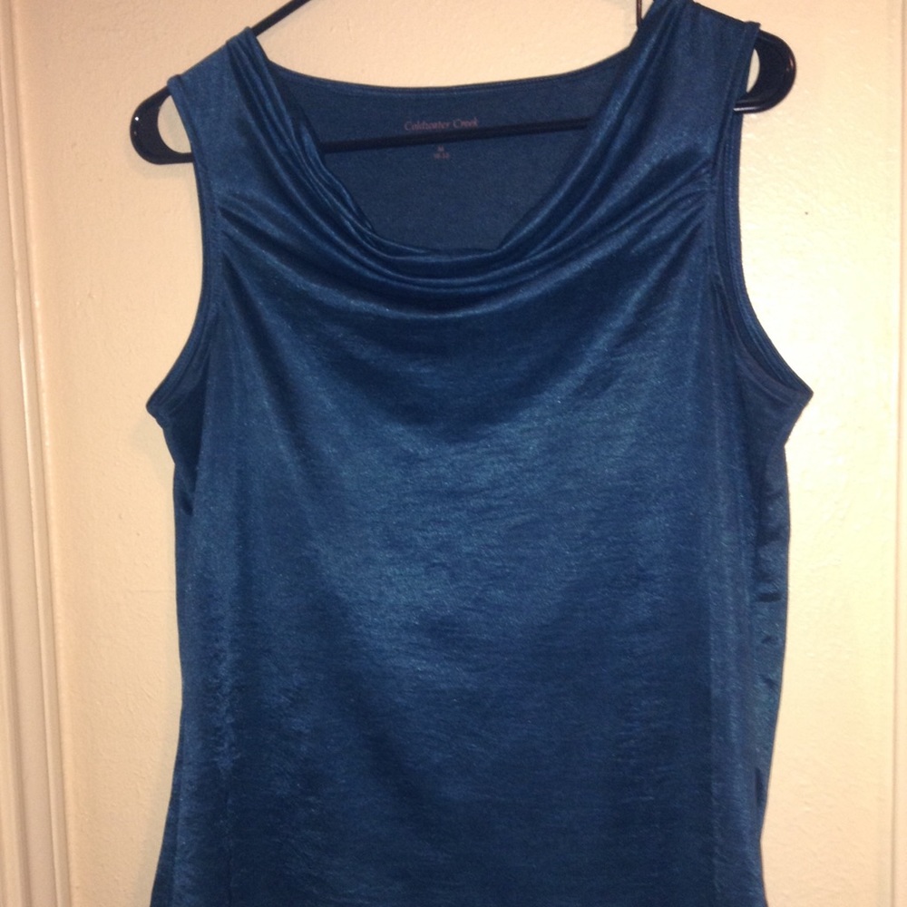 Silky Teal Dress blouse