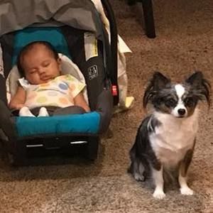 Meet your Posher, Stacy