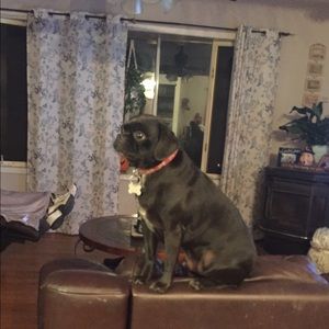 Meet your Posher, Lisa