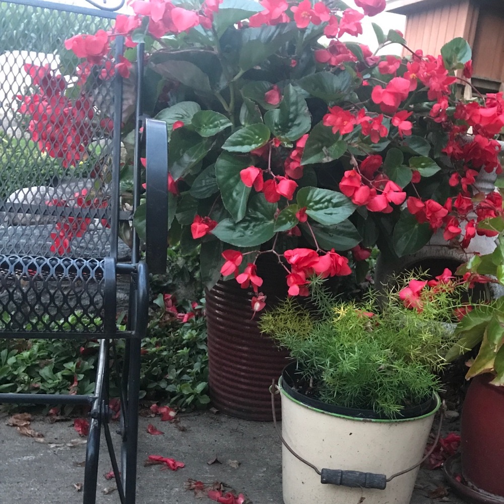 Meet your Posher, Gj