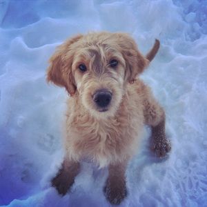 Meet your Posher, Mike