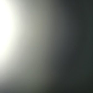 Meet your Posher, Rikki