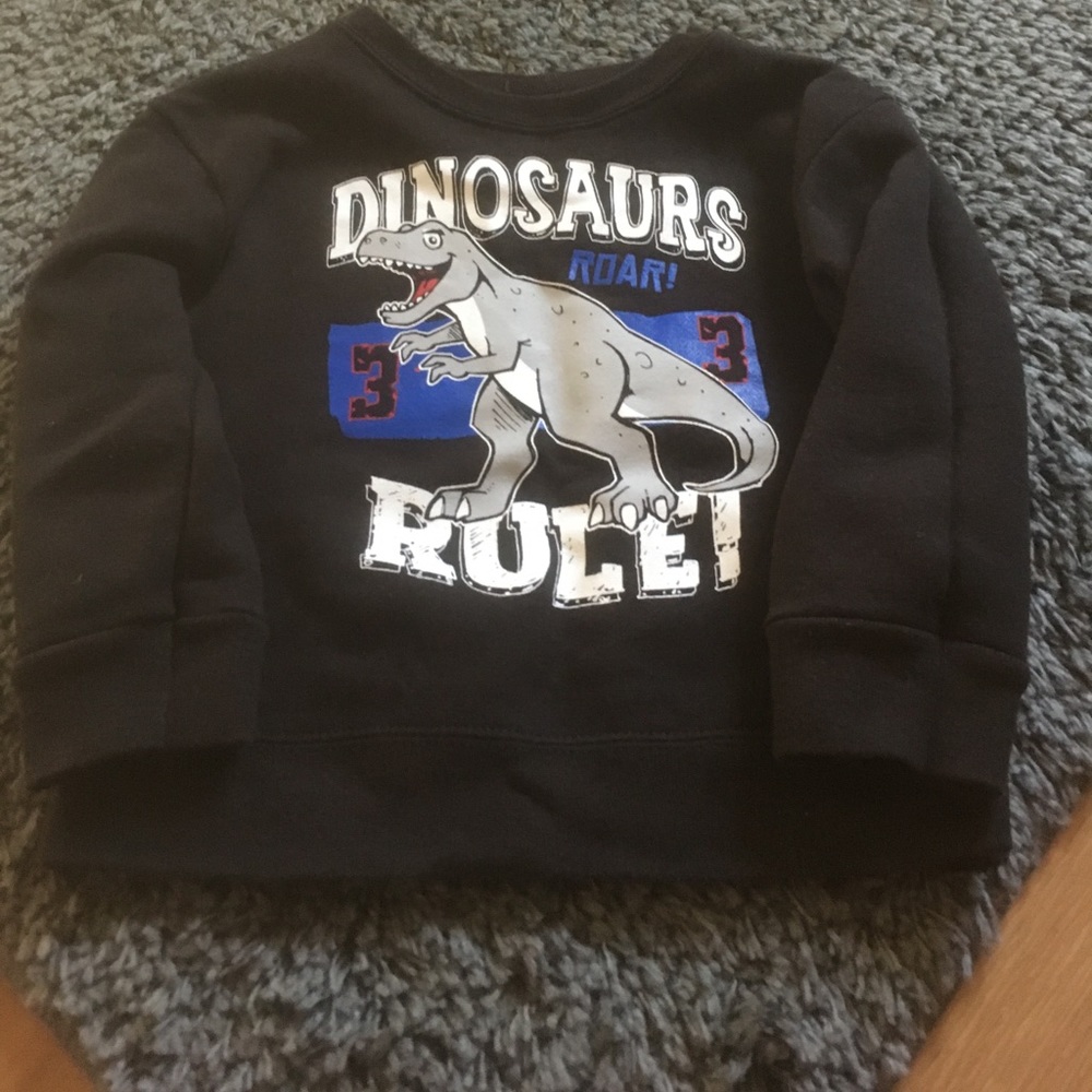 24 Months, Pullover Sweatshirt